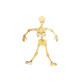 İskelet Sistemi Yapım ve Boyama Etkinliği Montessori